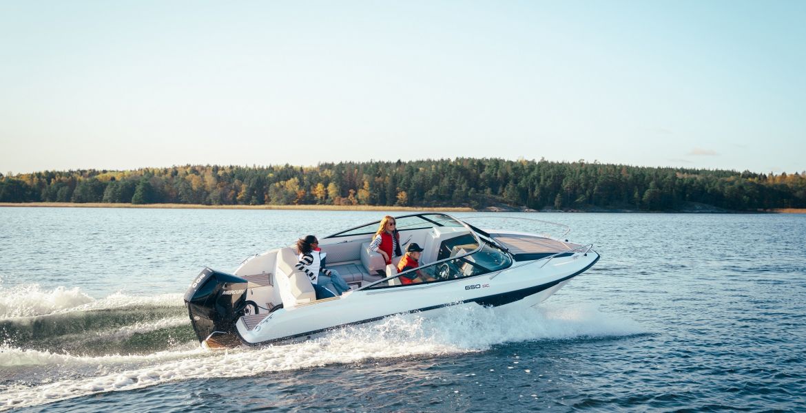 Flipper 650 DC