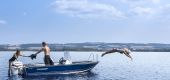 MARINE 500 Family