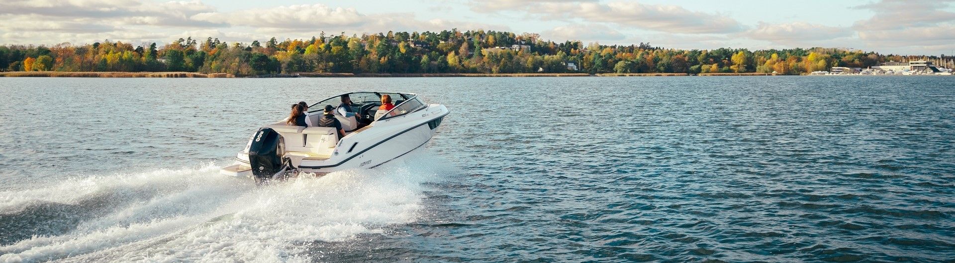 Flipper 650 DC